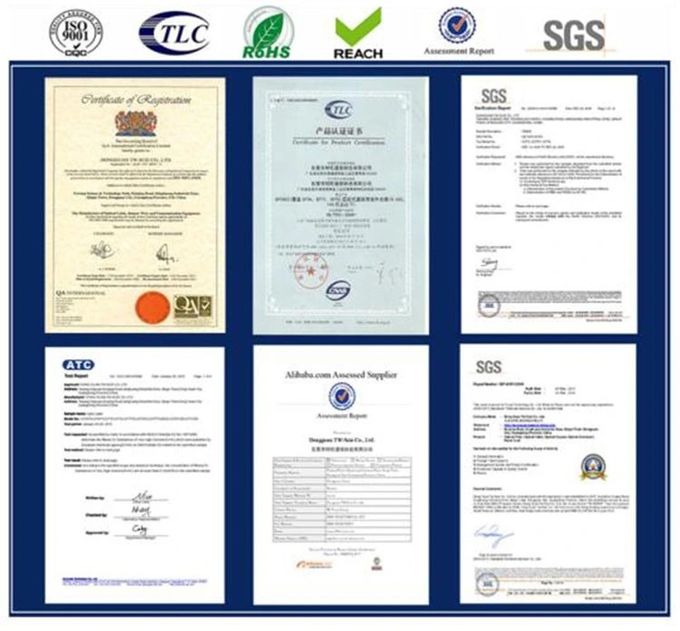 DONGGUAN TW-SCIE CO., LTD. نبذة عن الشركة